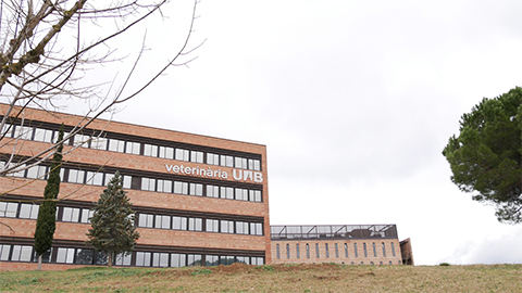 La facultat de veterinaria entre les cinquanta millors del mon